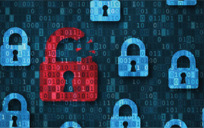 Unlocking Data Security: The Power of Bespoke Software