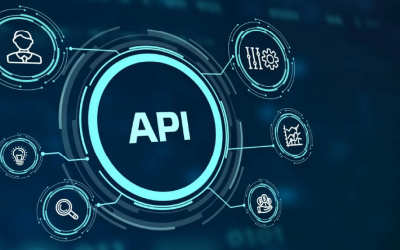 How to Trust Your Software Developer with Your Cybersecurity